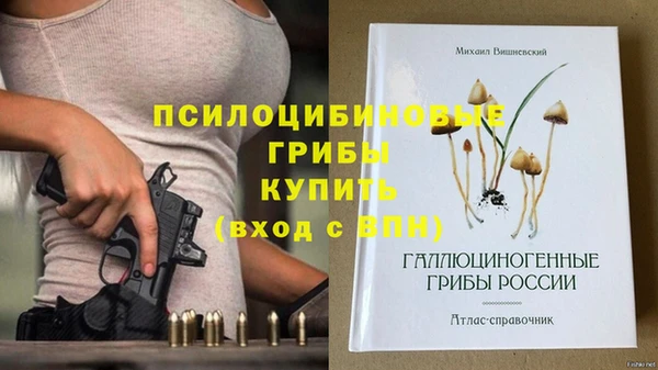 каннабис Дмитриев